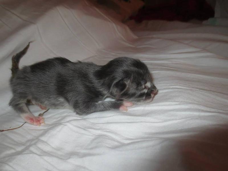 hanin a tytto 2 vrk.jpg